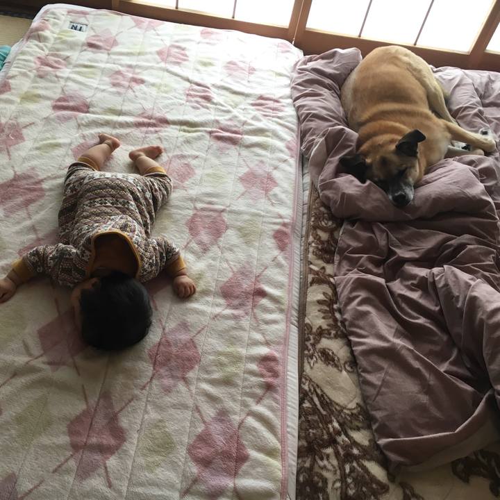 969043bb 35aa 4124 992f 5c6214dbc480