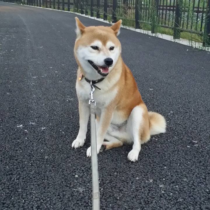 9690eb5f 431d 4e72 a470 0eb5054c3623