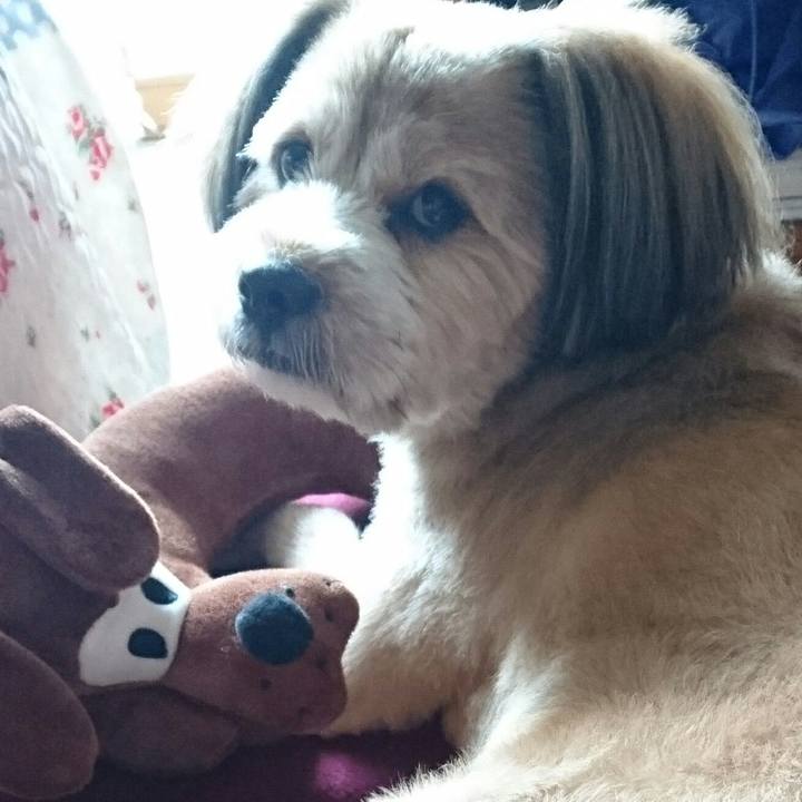 9690f647 16a1 435a baf0 b0b32d88efcc