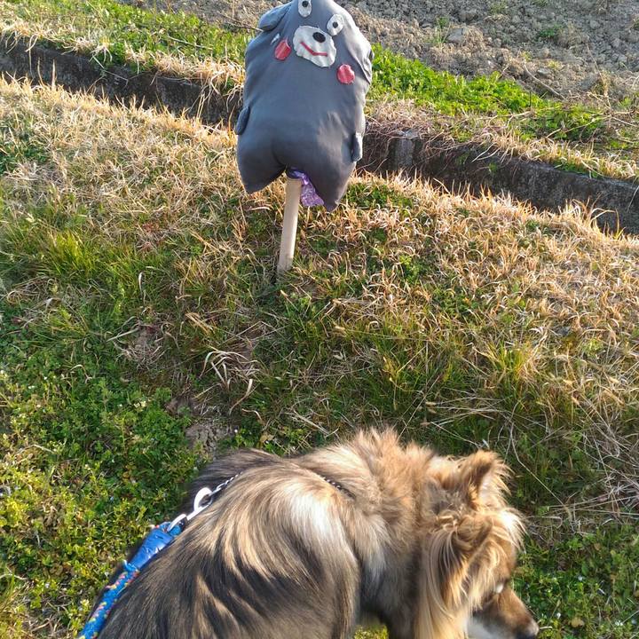 96922665 5beb 4ec8 bd72 ce162aa932ec