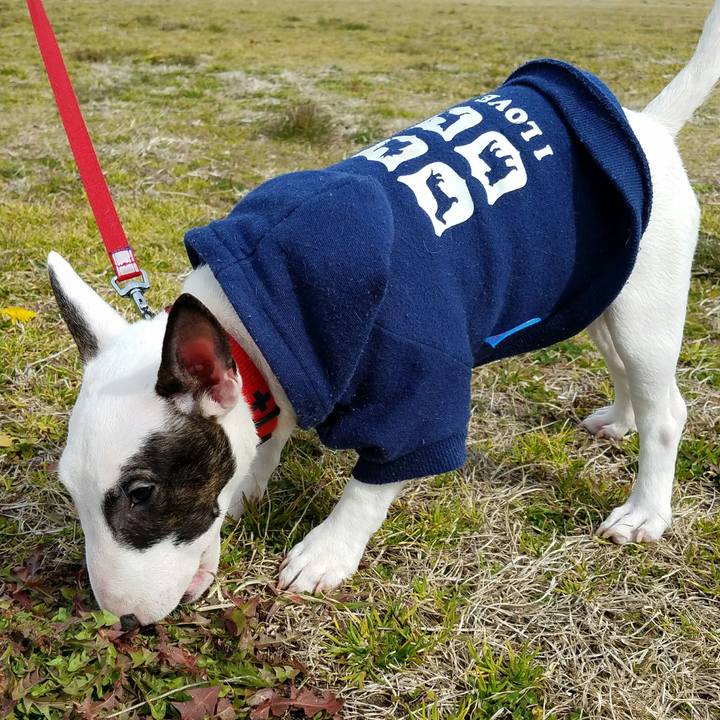 96923b3d 733a 489f a13b faa891c58ecd