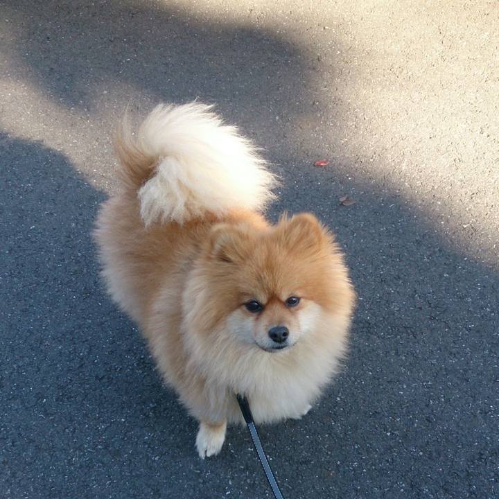 96928d45 8dfa 4ced a540 1aca310c926e