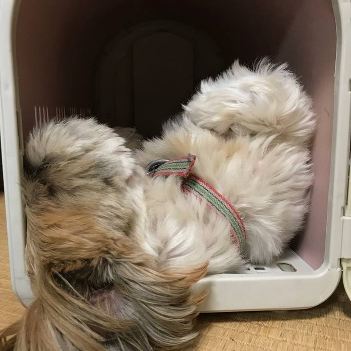 96930877 5d78 44c2 bed4 d8a347e62ce1