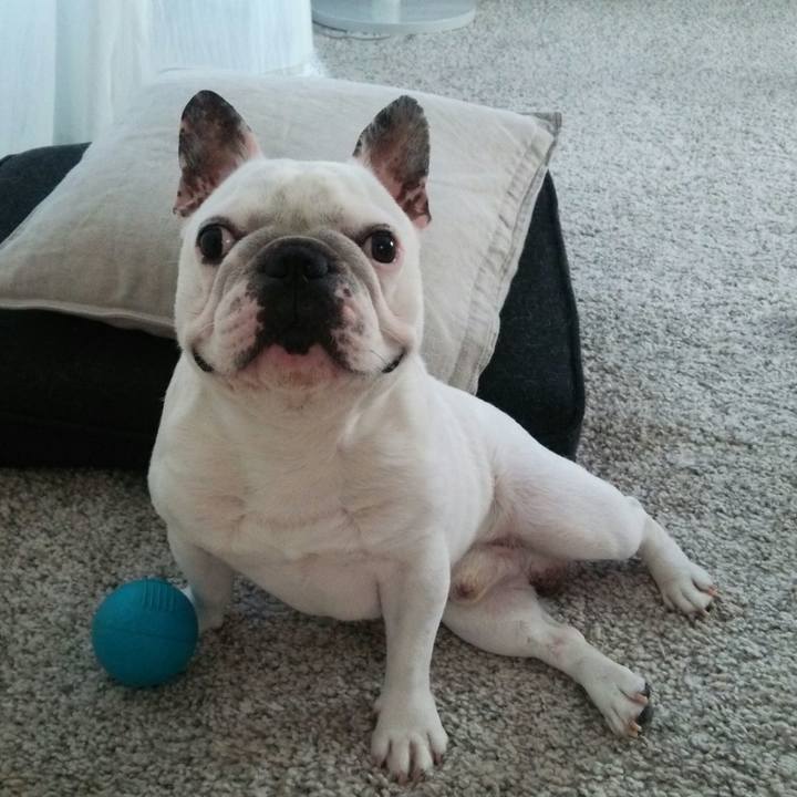 969337e5 6abd 4bc9 b91d a9deb7cc4c6f