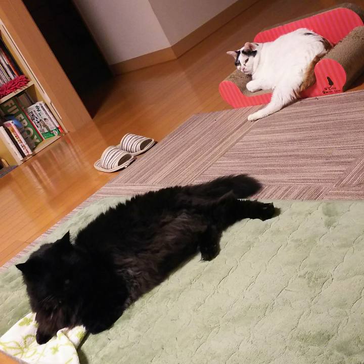 96935b1b 3a2f 48a7 b2f0 e8af34a9a2c4