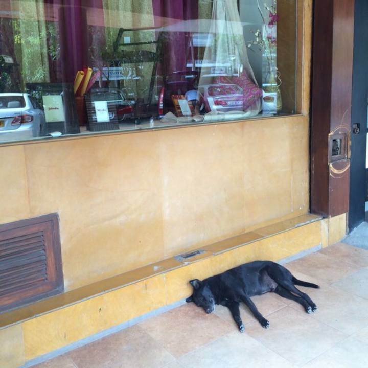 96938c82 e6da 491c b87d 94d636e7d7c4