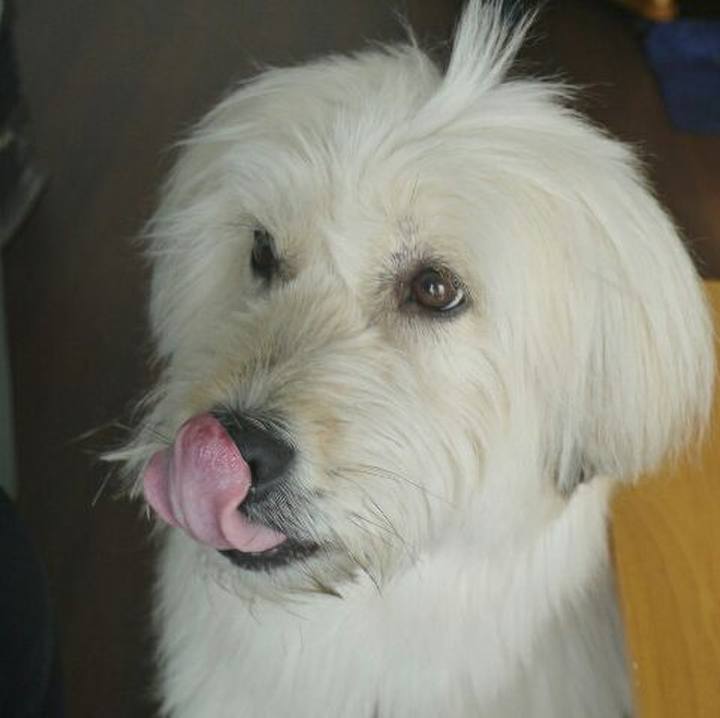 9693be3f a72c 4227 92fc 68e0d2182adc