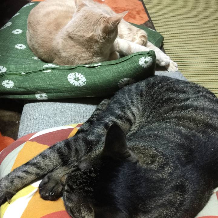 9693caed 6078 427e ad94 b383e926f809