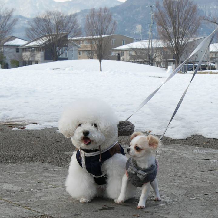 96941b93 6e0c 4765 8858 b9e0df06d321