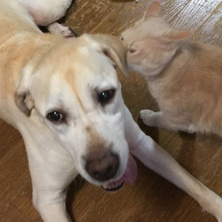 969521d0 7957 450d 9ba6 e63878b79b81