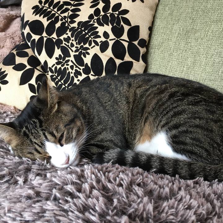 969563ad 1389 43f8 be85 65ca3652a074