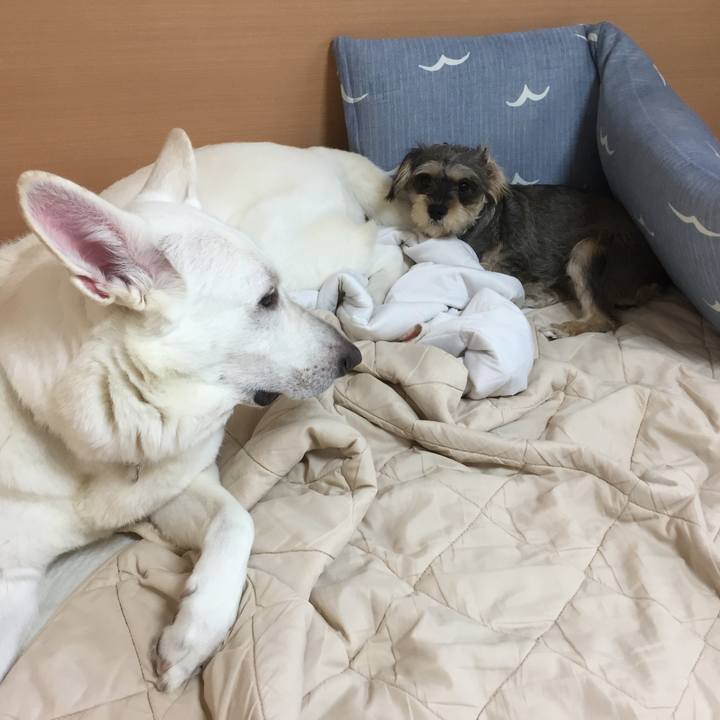 9695a16d 1f1b 4c48 96e1 2cf41b60daea