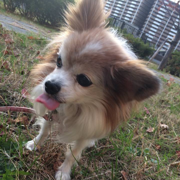 969603f7 fab5 44ea bdcf c5c443d9f1e6