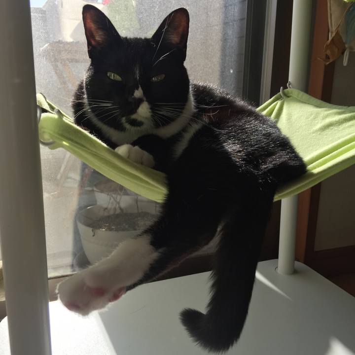 96963fd6 fde8 4f22 b87f 43e6af25be8a