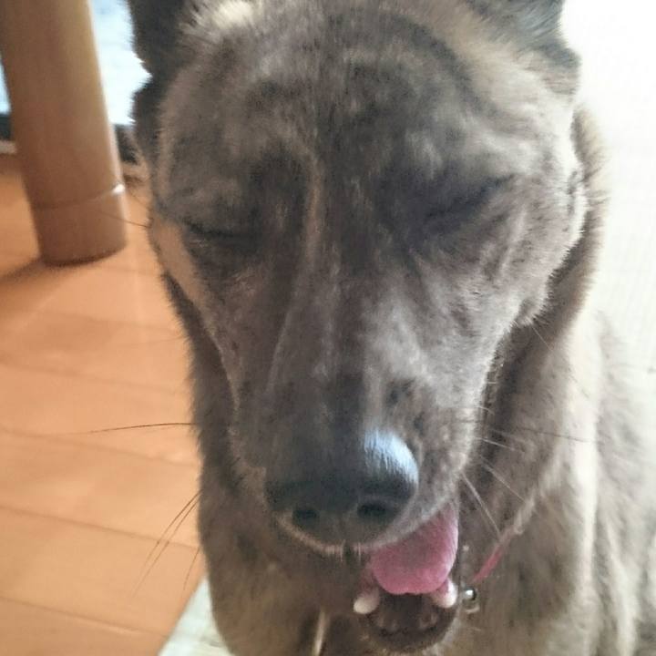 969650ca 55d0 43bf 88bf 6b168ac652ab