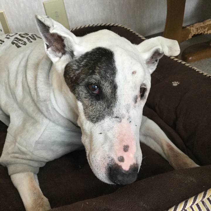 9696565f cd68 4901 9fad cf92aa730865