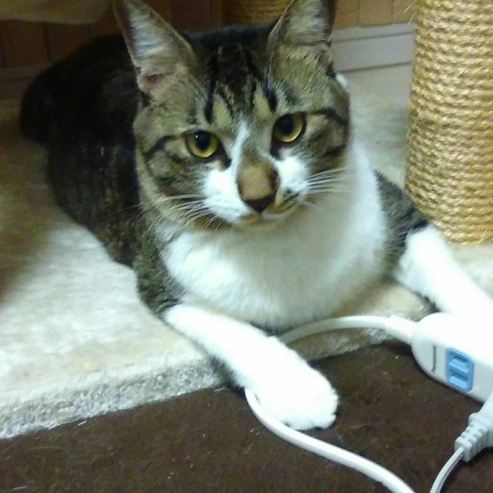 96967bba 76d3 450f badb 1d5786d012ac