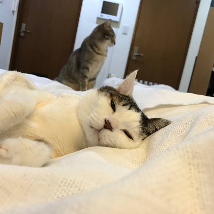 9696eec2 d56e 4635 95a1 1d6d8169aab3