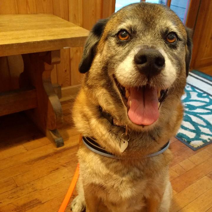 96971ef3 940e 4721 8efb 934a5d03e293