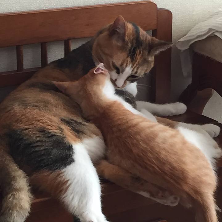 96973424 5a41 4cc9 9ca2 32039f443dcc