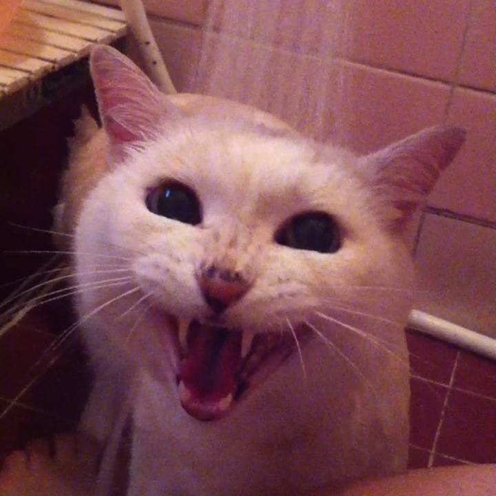 96979413 6e2b 4c1c abd8 04040ab8b454