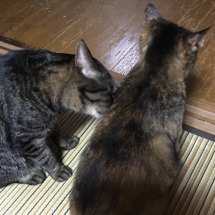 9697c423 0ca1 42a8 b372 388bd9849887