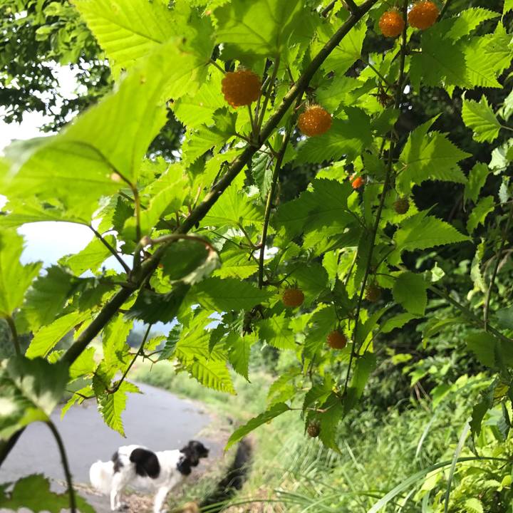 96980507 7492 4d9f a913 b5f026760c0f