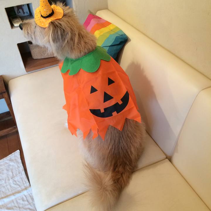 969869fe 12df 4dbf 919b b4c969b3a432