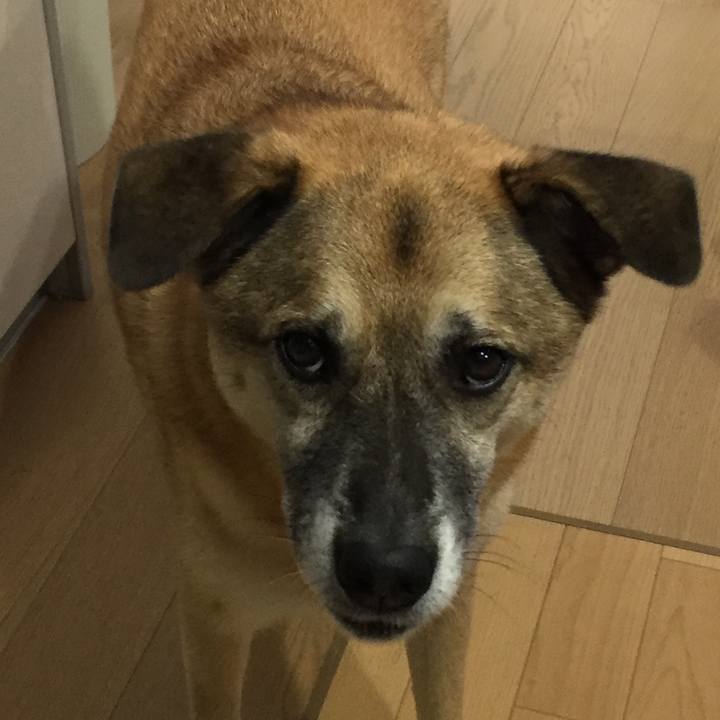 9698ff87 d416 46ef ae84 5955fa5d4a9f