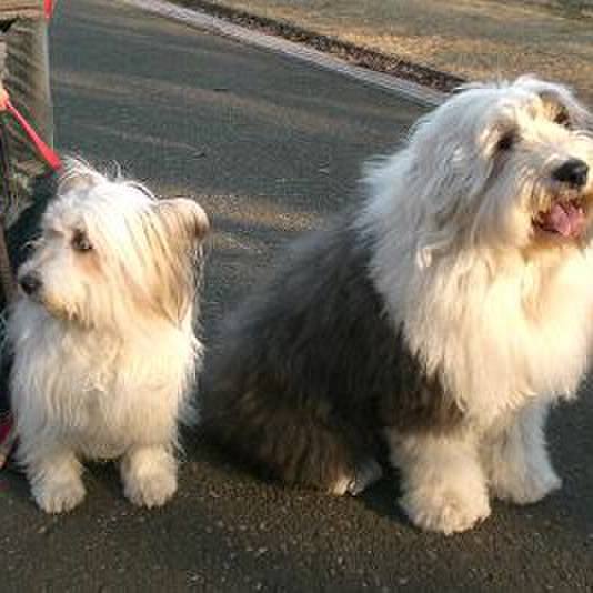 96991d8a 75b5 4fa7 8970 203d2a7349c9