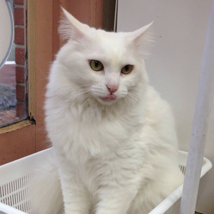 9699a0e0 8d64 407c 8b72 12f3144cc7a0