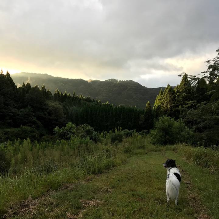 9699abde ef94 4af3 8429 3a5b7bf8edb7