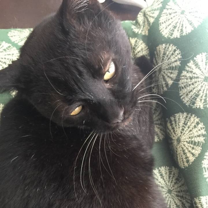 9699eda5 4d95 4458 bdeb 71e151d3662c