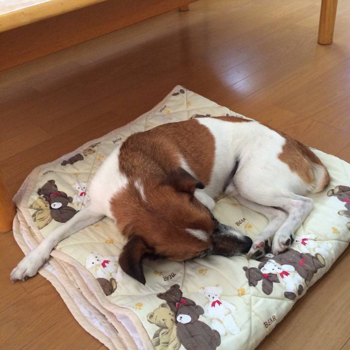 969a0f4b 31c8 4423 8af2 3dd10194d827