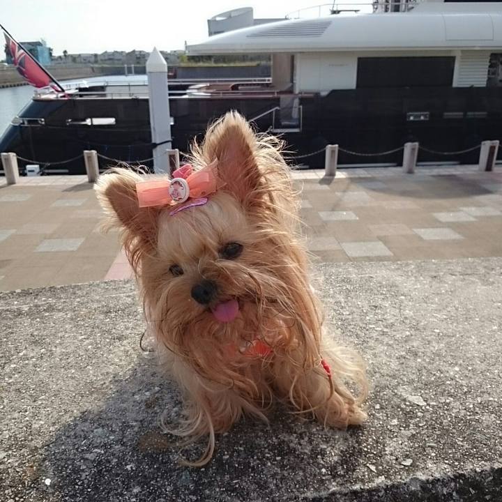 969b17b3 07d4 4a38 8be9 1b97d5084a45