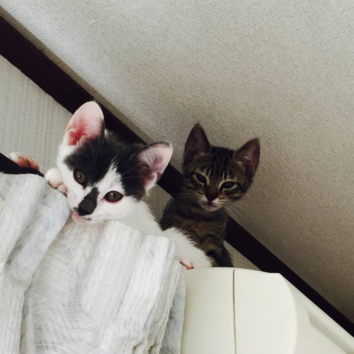 969b2280 9551 48c3 81bb a4345ed6ec67