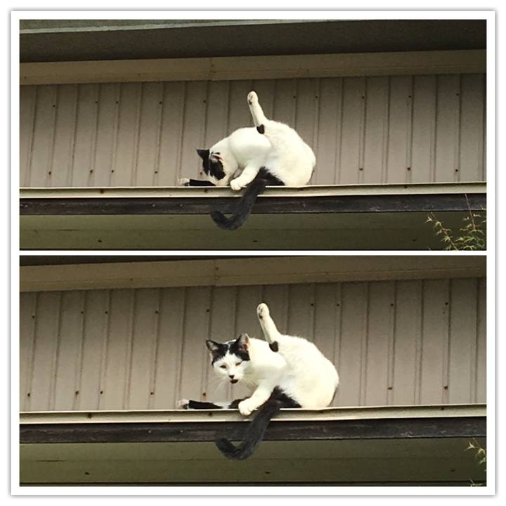 969bb0c5 dcd2 4ef8 8466 a87a58dc1983