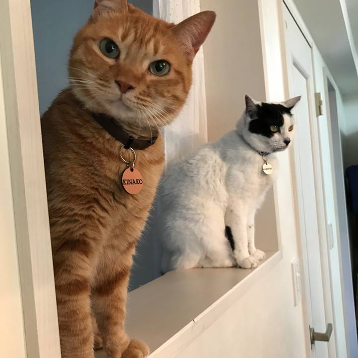 969bb252 92d1 432f a139 df66bc20ee17