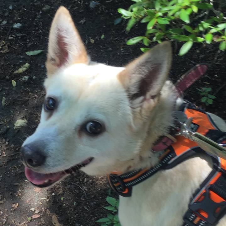 969bc472 c1cf 4458 b2a0 b46a5703098e