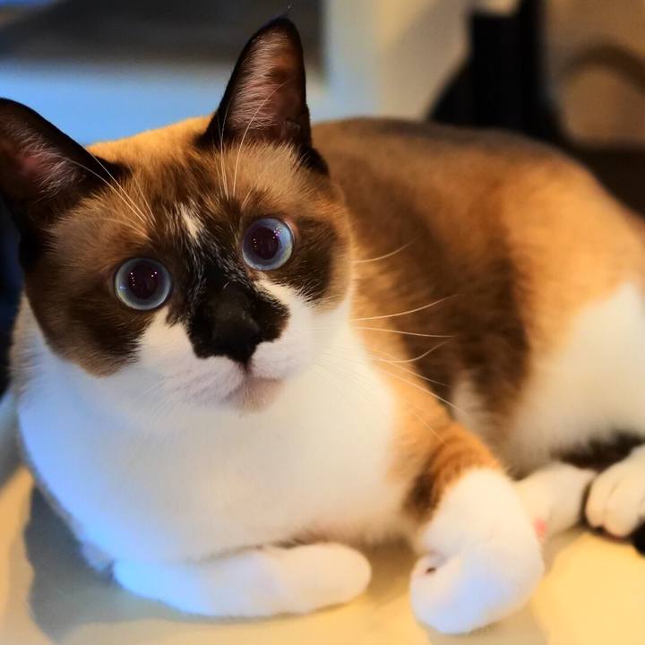 969c6911 4c1c 4a0c abc4 08a68d13177c