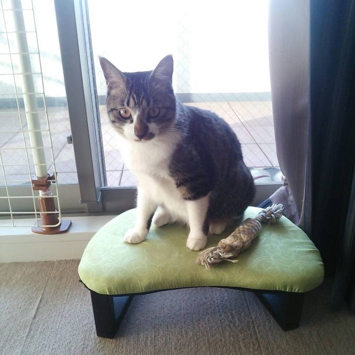 969ccb20 ac39 4a6f bdb4 5dce813656a7