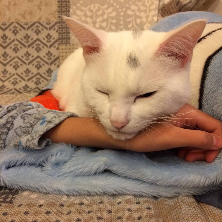 969cfbd9 dd67 481a 8574 aef9fcd0483b