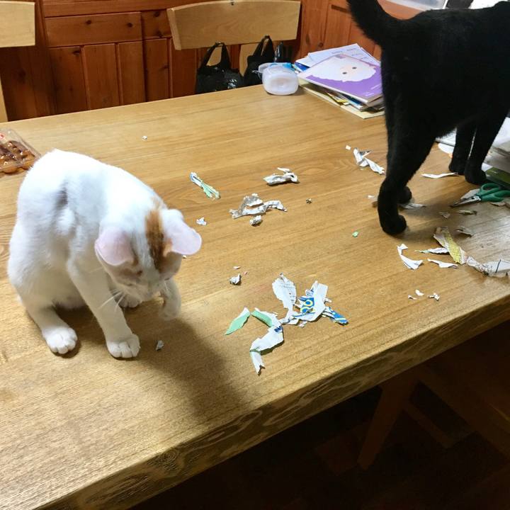 969d545f cc82 40a9 8057 559f23301825