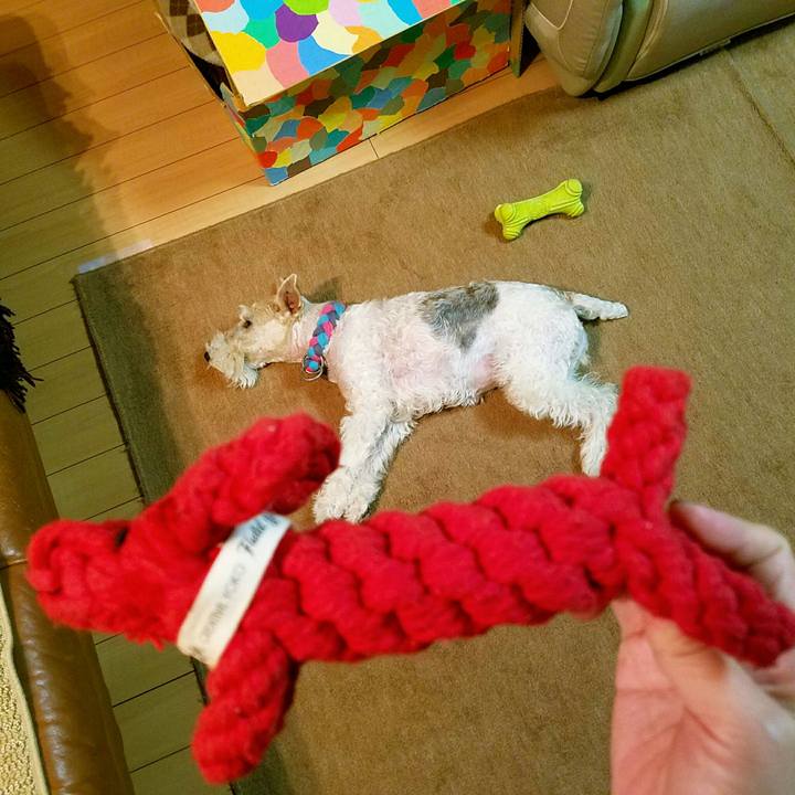 969d9c01 7d39 48b6 a2e4 89e4efcd4fce