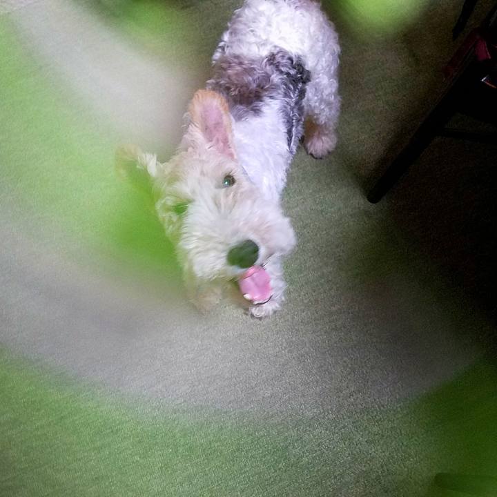 969e7f2e 66e4 4955 86a9 87776e3ce3aa