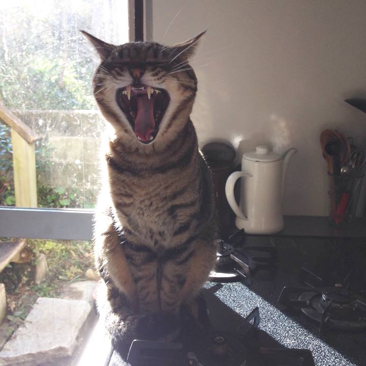 969f298b 46fa 4197 bf52 f6bb116848ca