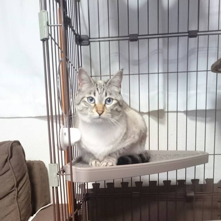 969f971a f7ae 4db7 bb43 97dab7ae2d7d