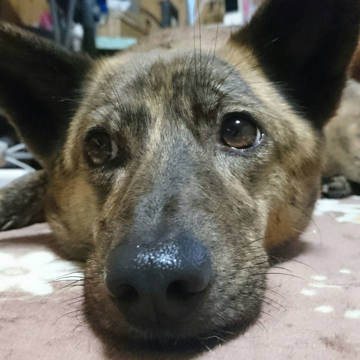 96a00671 b184 441f 934a dbc35e3bc04e