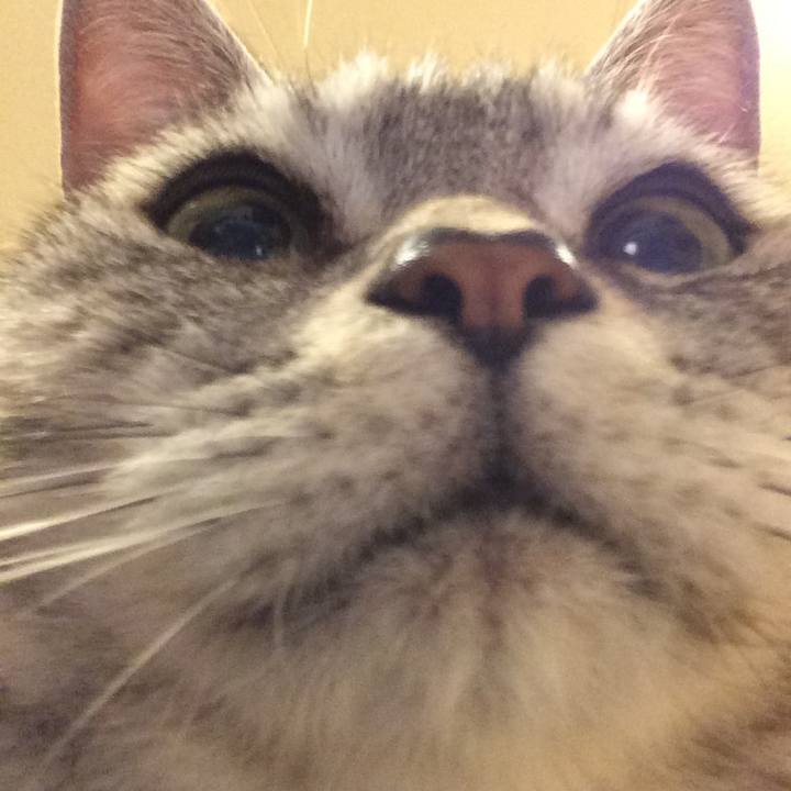 96a058c5 9372 402f b763 ebaf00bff7a1