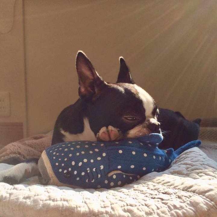 96a0c5d5 b405 430b b9bc 128d9875169e